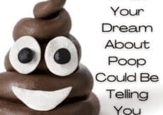 What Your Dream About Poop Could Be Telling You