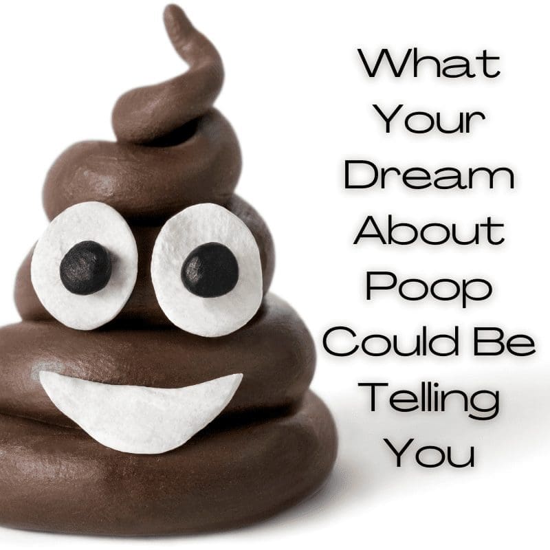 dream about poop