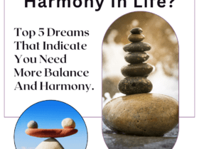 Top 5 Dreams That Indicate You Need More Balance And Harmony