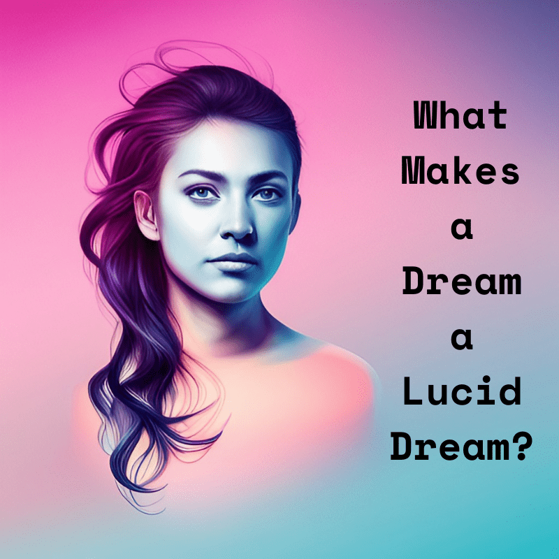 What makes a dream a lucid dream