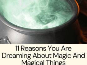 11 Reasons You Are Dreaming About Magic And Magical Things